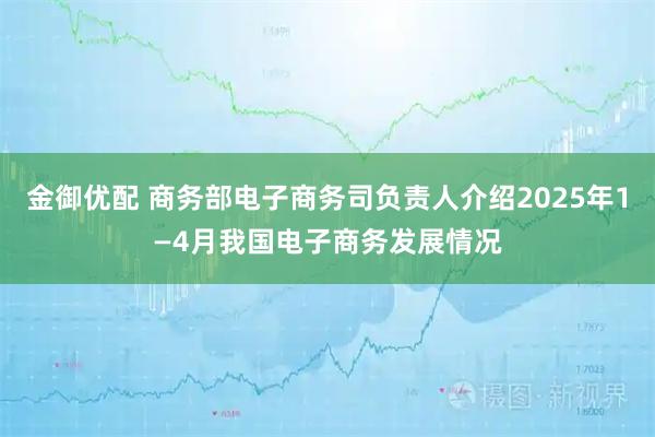 金御优配 商务部电子商务司负责人介绍2025年1—4月我国电子商务发展情况