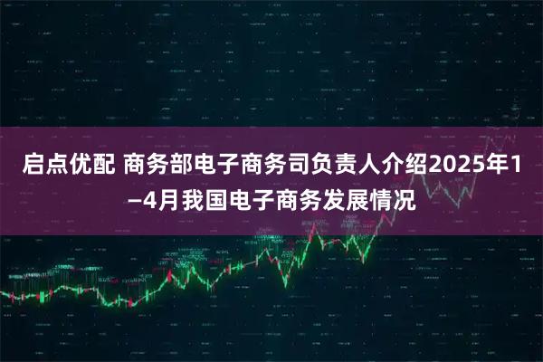 启点优配 商务部电子商务司负责人介绍2025年1—4月我国电子商务发展情况