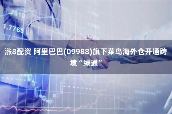 涨8配资 阿里巴巴(09988)旗下菜鸟海外仓开通跨境“绿通”
