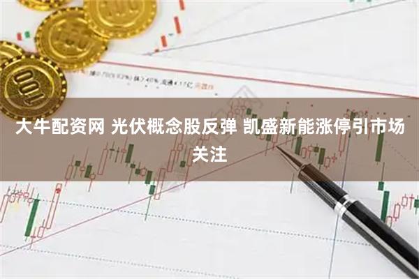大牛配资网 光伏概念股反弹 凯盛新能涨停引市场关注