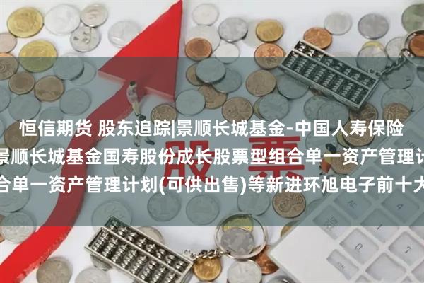 恒信期货 股东追踪|景顺长城基金-中国人寿保险股份有限公司-分红险-景顺长城基金国寿股份成长股票型组合单一资产管理计划(可供出售)等新进环旭电子前十大流通股东